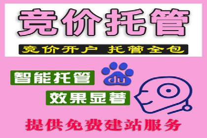 深度解析：百度推广代运营的成功要素